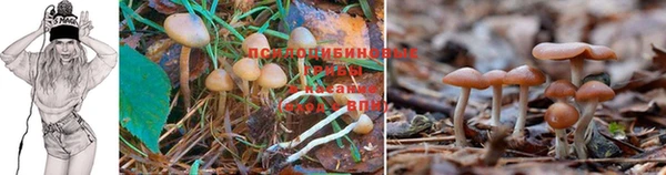марки lsd Волосово