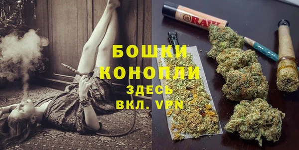 гидра Волоколамск