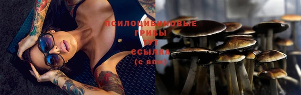спиды Володарск