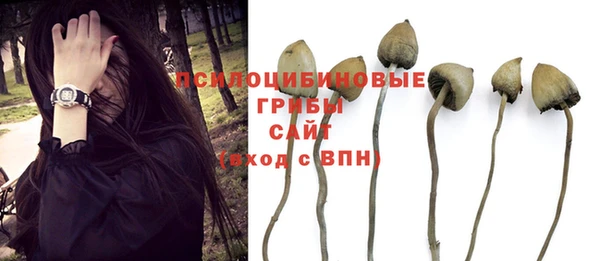 спиды Володарск