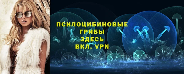 спиды Володарск