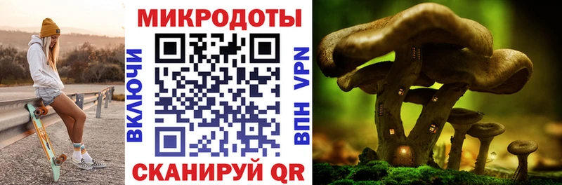 Псилоцибиновые грибы прущие грибы  Купить где  Власиха 